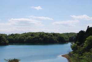 湖 湖
