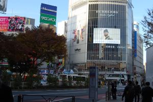 渋谷･デジタルサイネージ