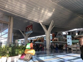 羽田空港国際線ターミナル 羽田空港国際線ターミナル