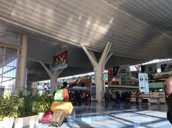 羽田空港国際線ターミナル