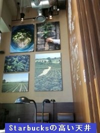 Starbucksの高い天井 Starbucksの高い天井