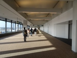 成田空港廊下