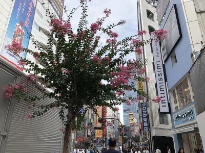 渋谷