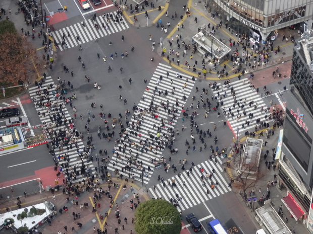 渋谷